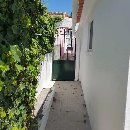 O Recanto Do Cume Semesterbostad Praia da Vitória